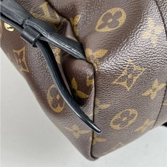 Louis Vuitton Monogram Palm Springs Backpack PM - Picture 8 of 13